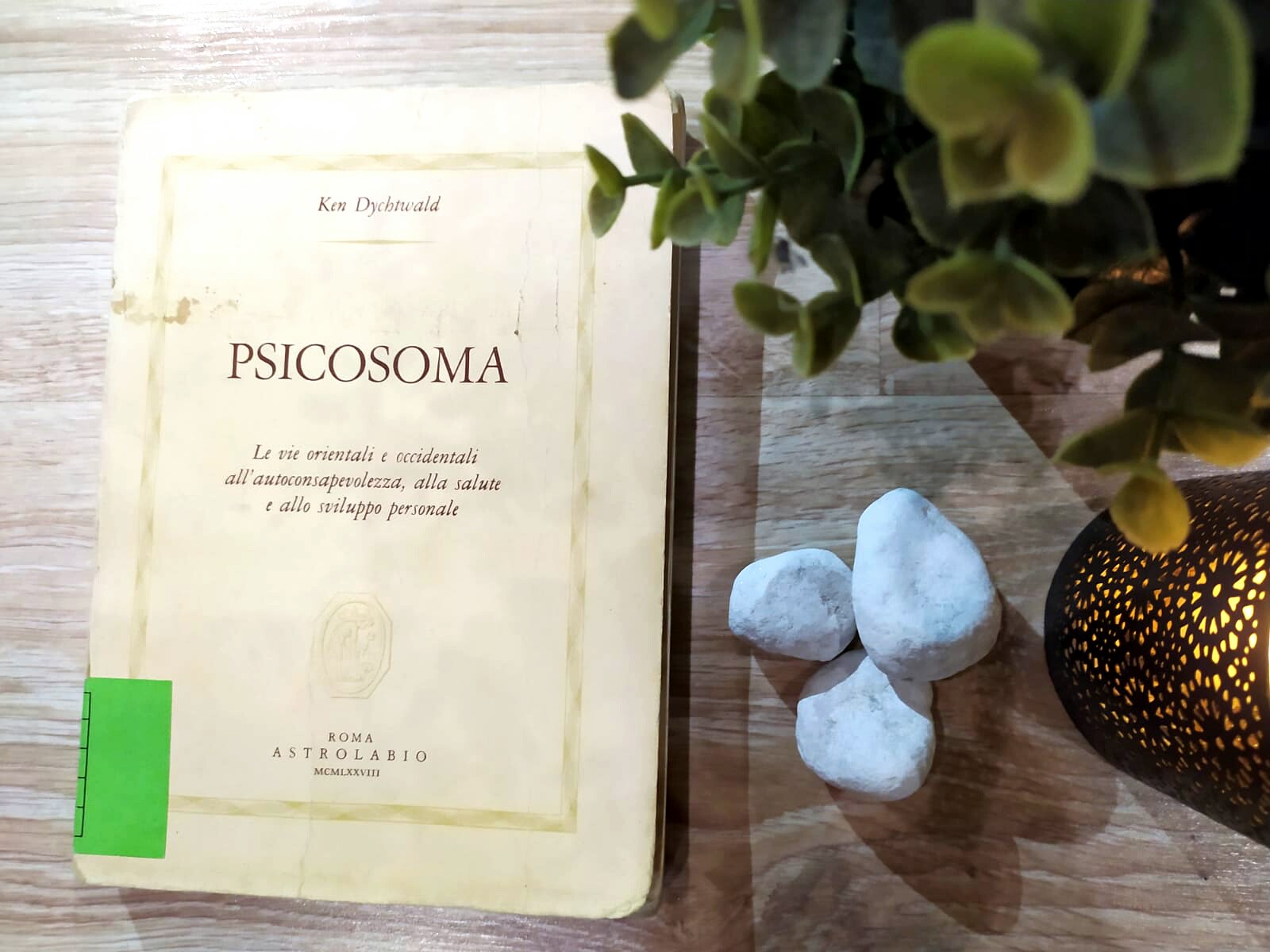 Libri, "Bodymind" di Ken Dychtwald